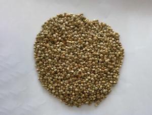 Hemp Seeds