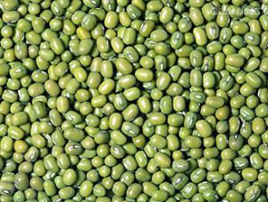 Green Beans